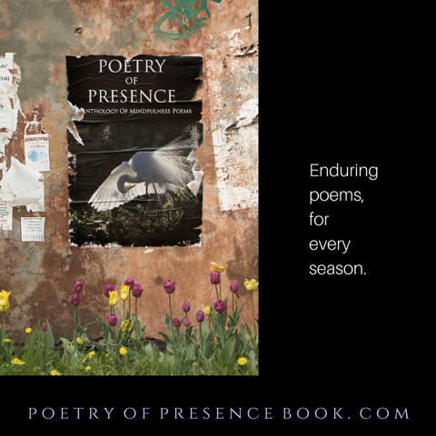 Poetry of Presence: Opening Invitation - Teaching with Heart, Fire and ...