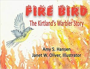 Fire Bird, book cover
