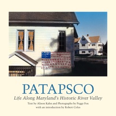 Patapsco book cover