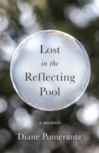 Lost in the Reflecting Pool book cover